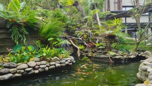 Taman