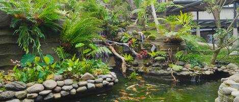 Un exuberante jardín interior con un estanque, rocas y diversas plantas.