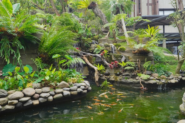 Jardín