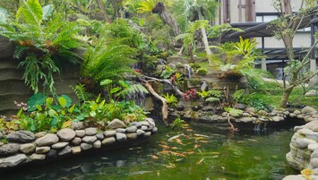 Un exuberante jardín interior con un estanque, rocas y diversas plantas.