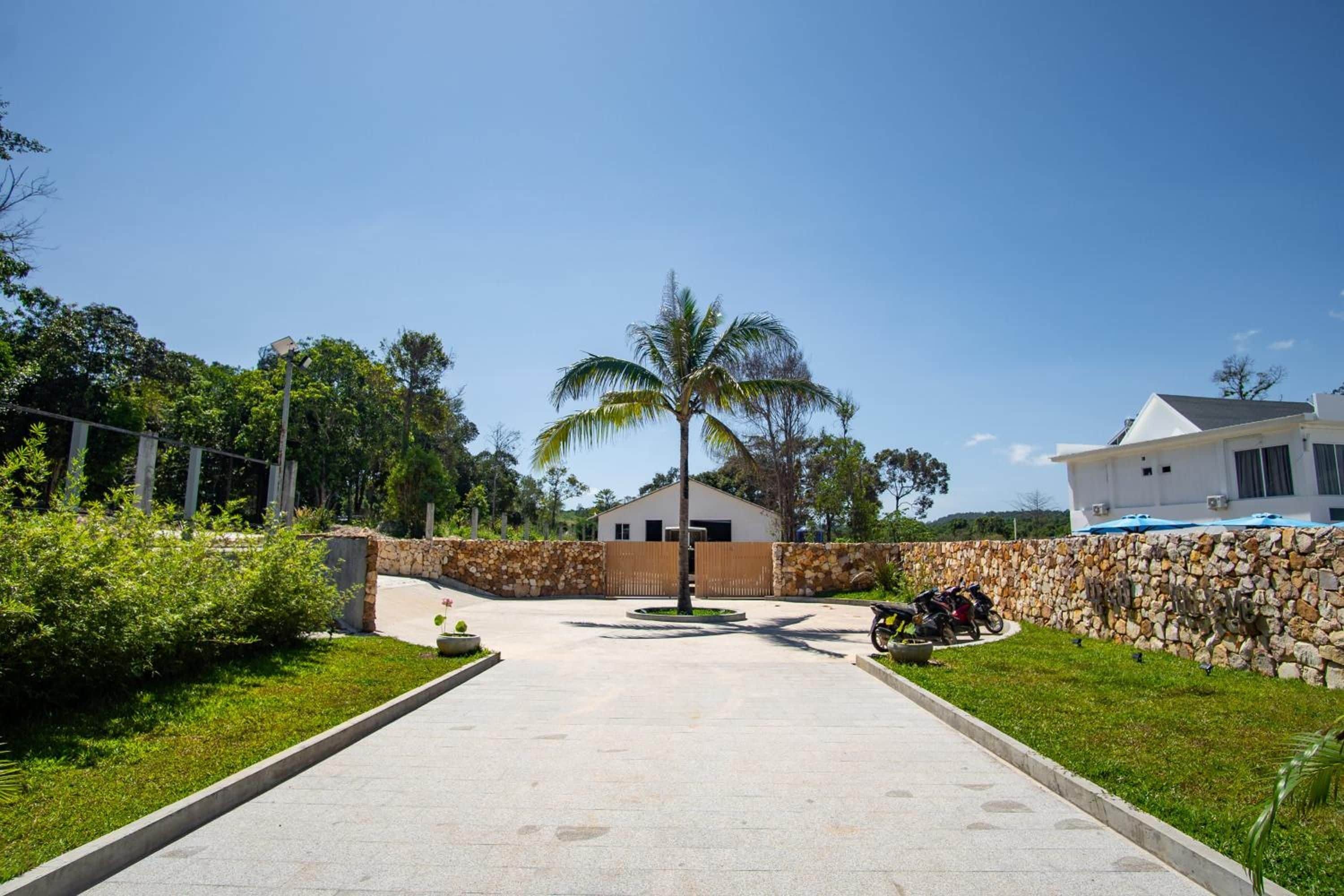 A paved driveway leading to a building with a stone wall and a palm tree.