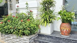 Un pot contenant des fleurs rouges, une grande plante verte et un pot décoratif posé sur une étagère en marbre.