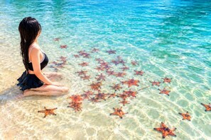 A person sitting by a clear blue body of water with starfish visible on the sandy bottom.
