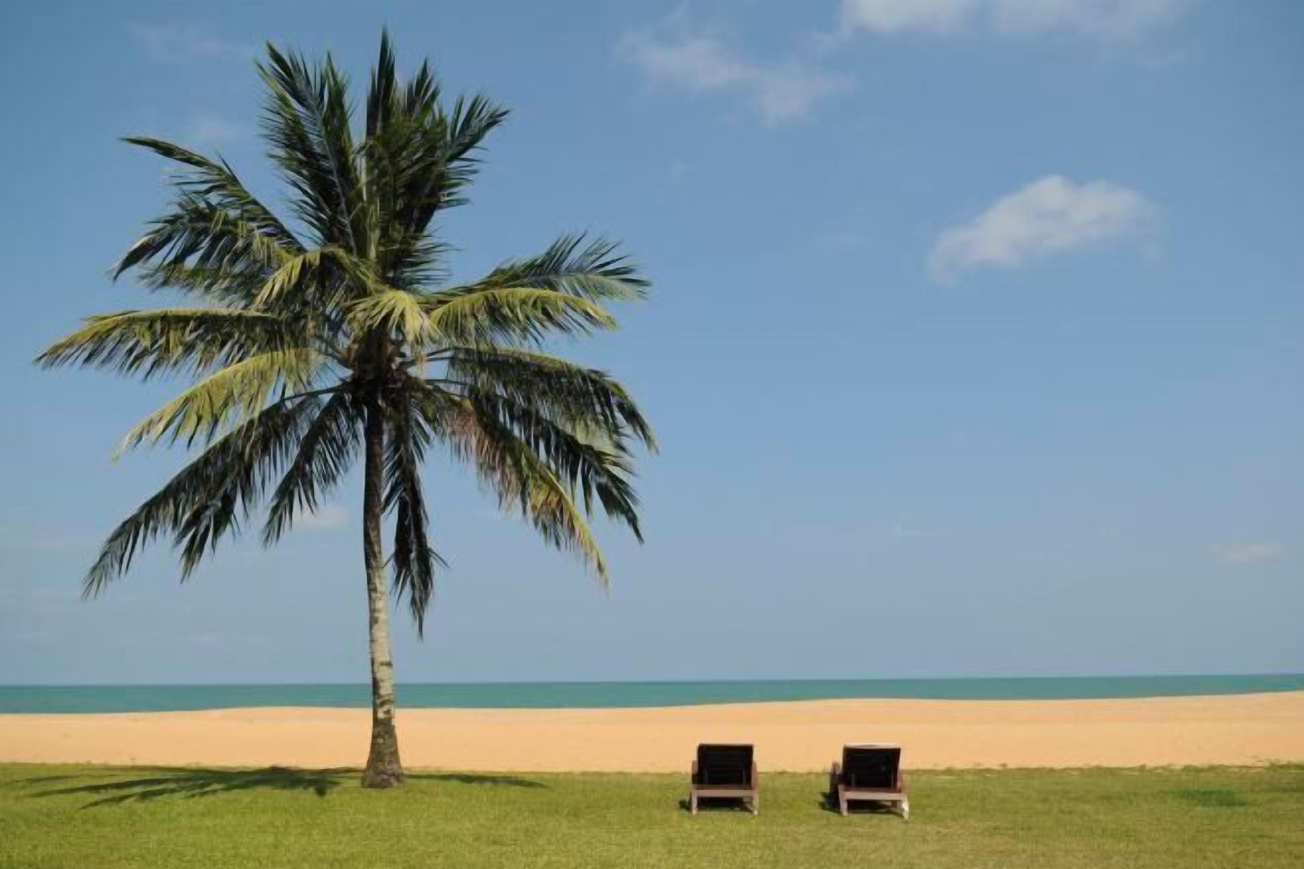 근처 전용 해변, 비치 발리볼