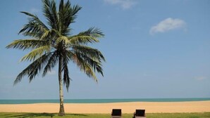 A beach with a palm tree and two lounge chairs facing the ocean. - Club Med Cherating Beach (Balok)