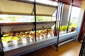 A balcony with potted plants and a metal shelf. - MB Hotel (Kota Kinabalu)