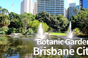 Property grounds - Spacious 3BR Getaway | Great Location & Comfort (Indooroopilly)