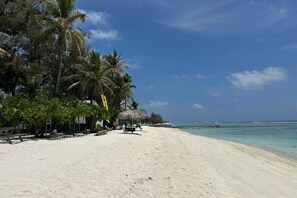 Una playa con palmeras, una cabaña de techo de paja y una orilla arenosa.