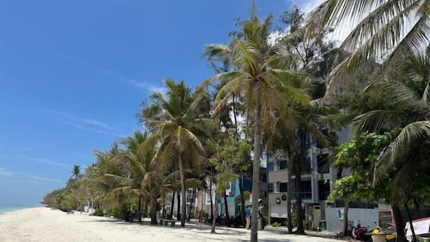 Una playa con palmeras y un edificio de varios pisos.