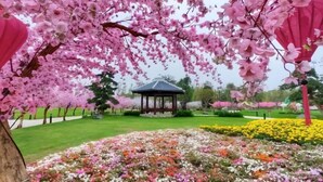 Taman