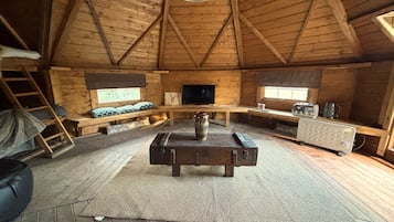Fernseher, Kamin
