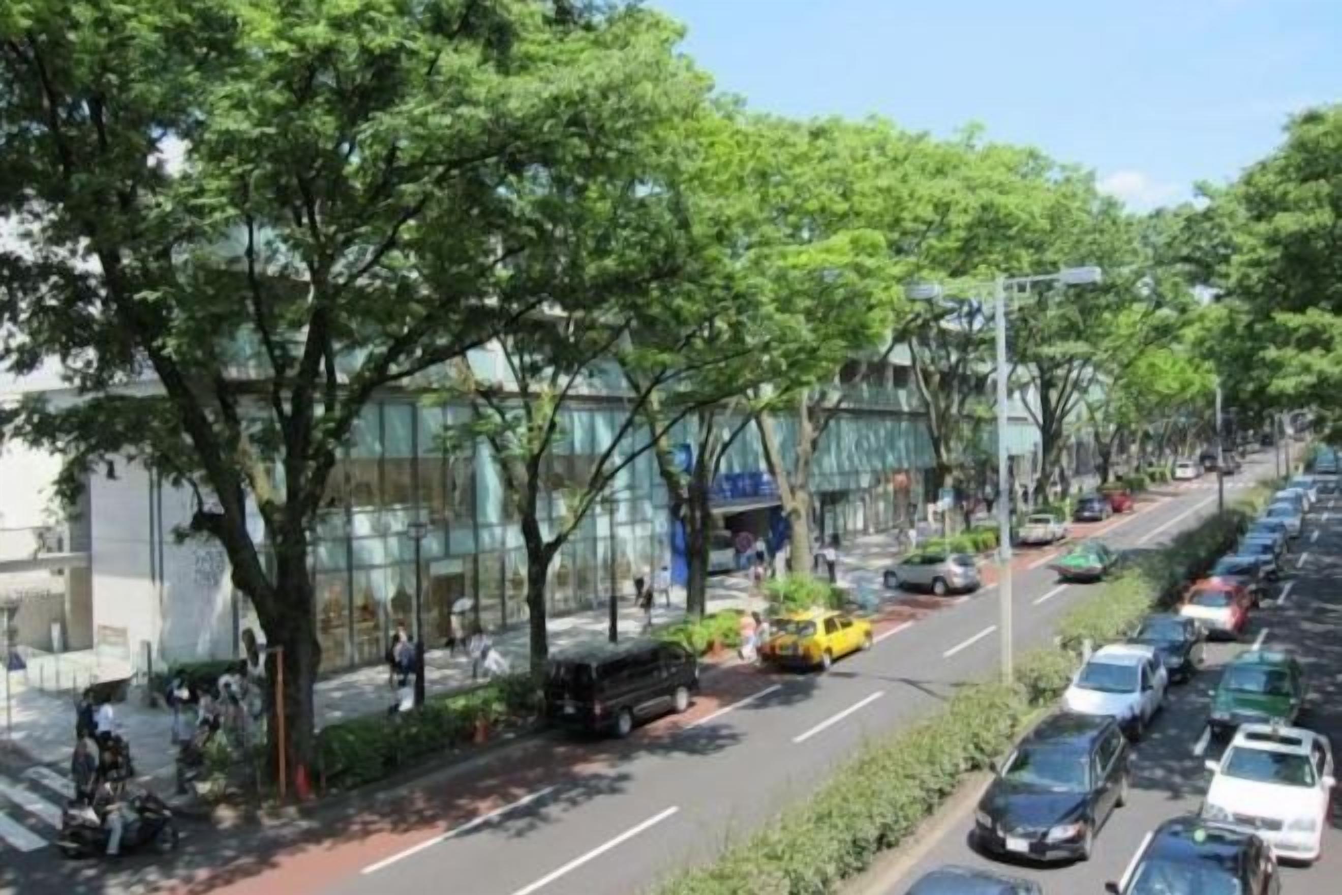 Une rue bordée de voitures garées et d’arbres, un ciel dégagé et un immeuble doté de grandes fenêtres.