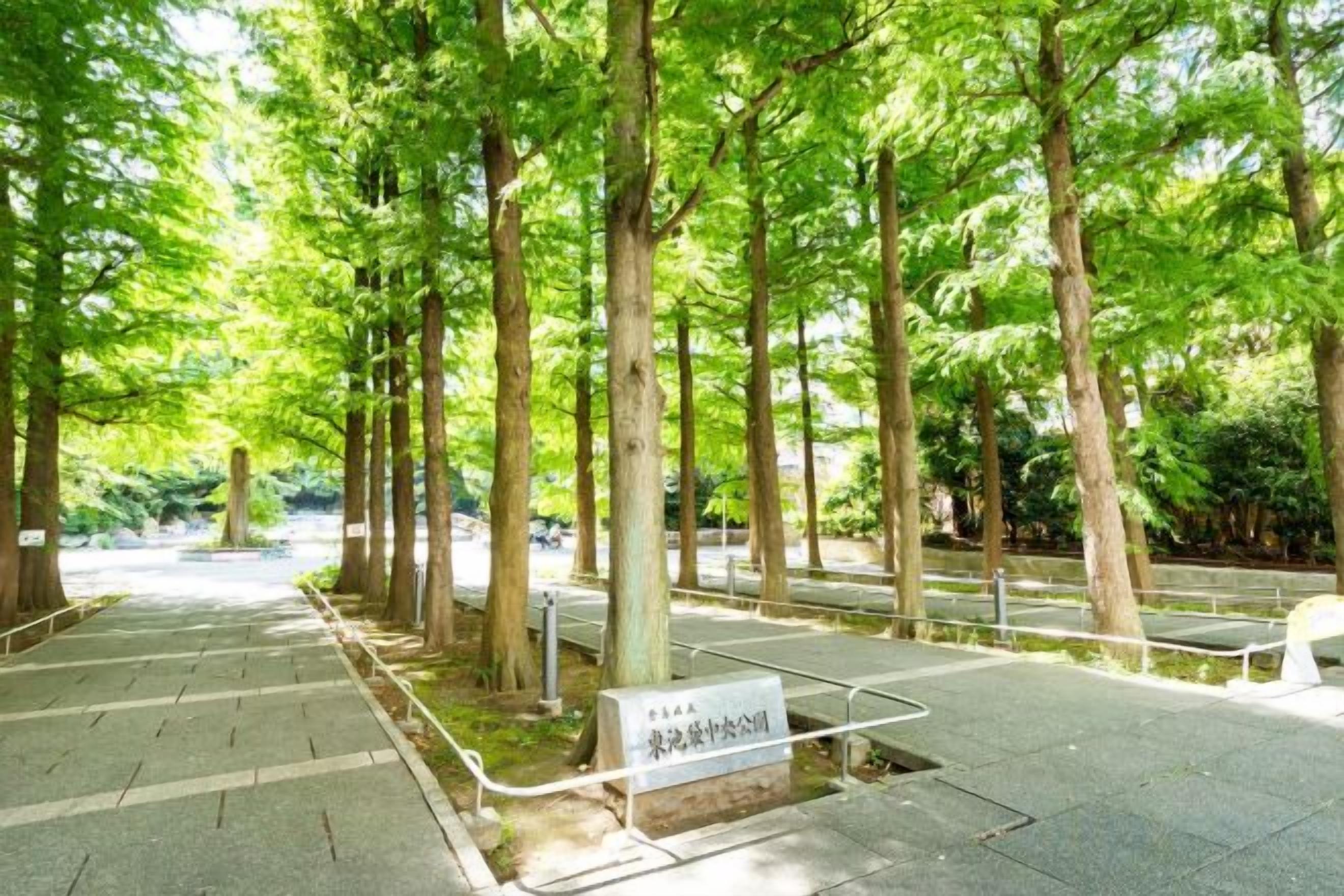 A pathway lined with trees, a signpost, and a railing.