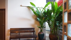 A wooden bench, two potted plants, and a wall-mounted rack in a hallway. - Studio251 HOUSE (Lang Suan)