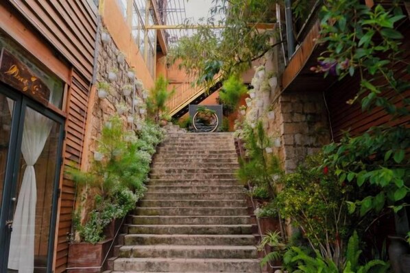 Un escalier en pierre menant à l’entrée d’un bâtiment, entouré de verdure et de plantes.