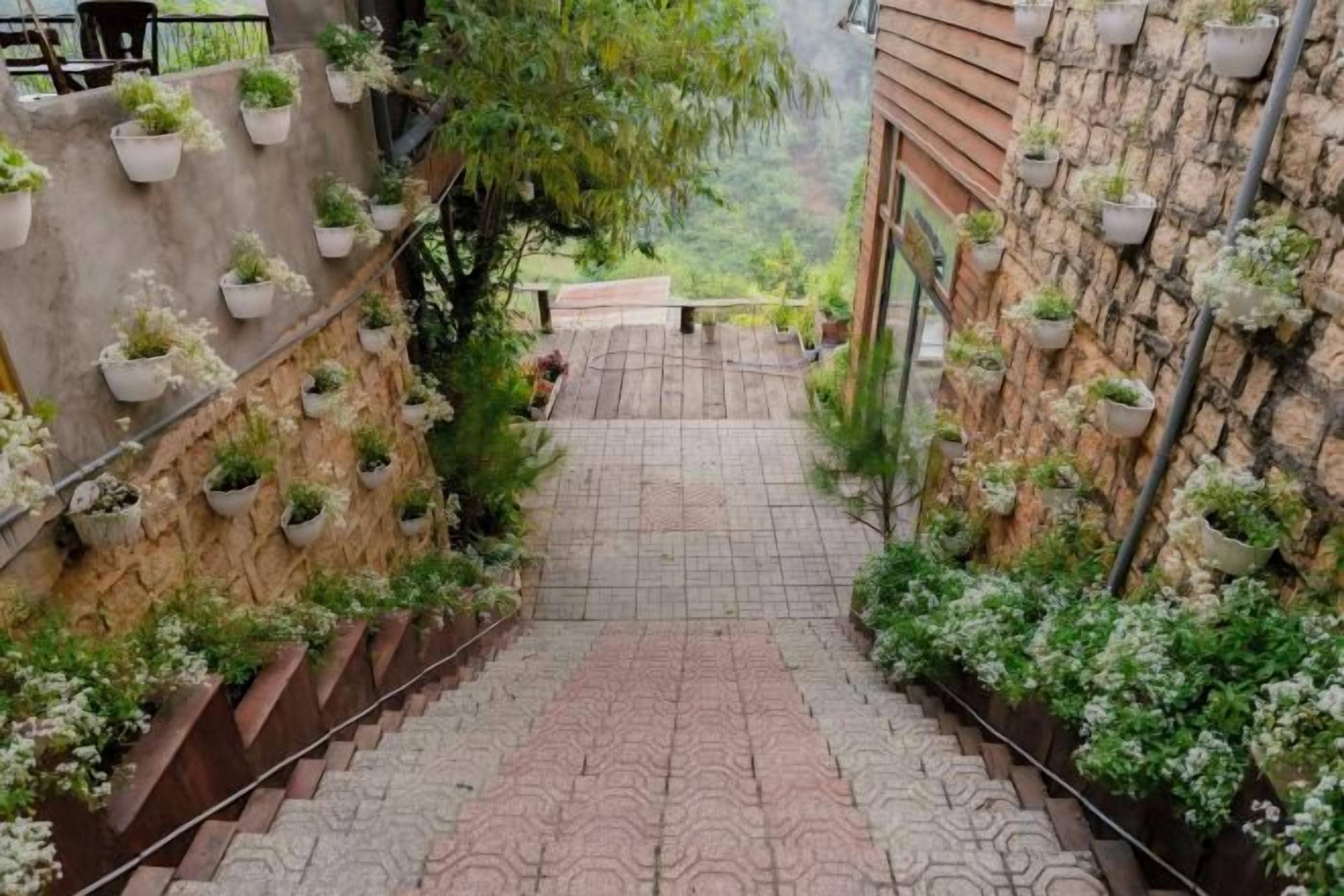 A staircase with potted plants on both sides, leading to a covered area with a view of greenery.