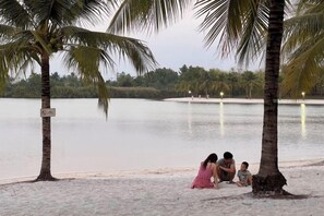 A beach scene with palm trees and a calm body of water.