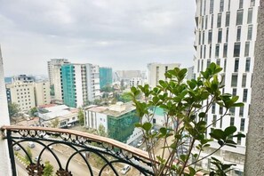 Vista des de l'allotjament