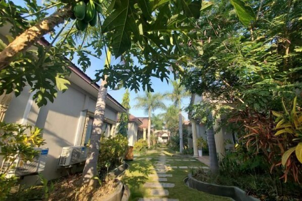 View from property - Golgota Hotel & Resort (Dili)