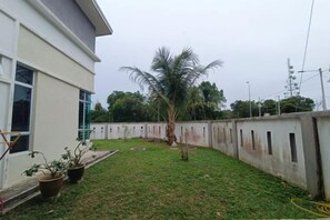 A residential backyard with a palm tree, a concrete wall, and a potted plant. - BEB'S & JOCEL APARTMENT (Panglao)