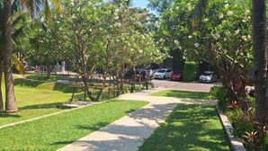 A well-maintained garden with a paved walkway, palm trees, and parked cars. - unixx Seaview Resort (Pattaya)