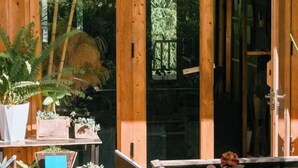 A wooden-framed window with a view of dense greenery outside. - Sapa Ta Van Desi House - Mountain View & Hiking Tours (Sapa)