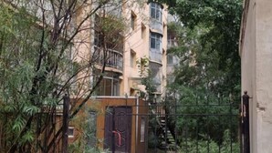 A multi-story residential building with balconies, surrounded by dense greenery. - UB Friends Hostel (Ulaanbaatar)