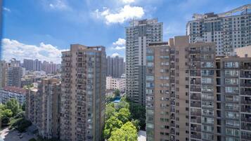 Superior Apartment, 1 Bedroom, Kitchen, City View | View from room
