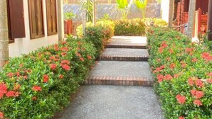 A pathway flanked by red flowers leading to a building with wooden shutters and a stone wall.