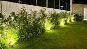 A well-lit garden area with a white wall and a metal fence, featuring neatly trimmed grass and plants. - Lotus Resort Panglao (Panglao)
