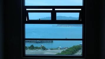 Vista desde la propiedad