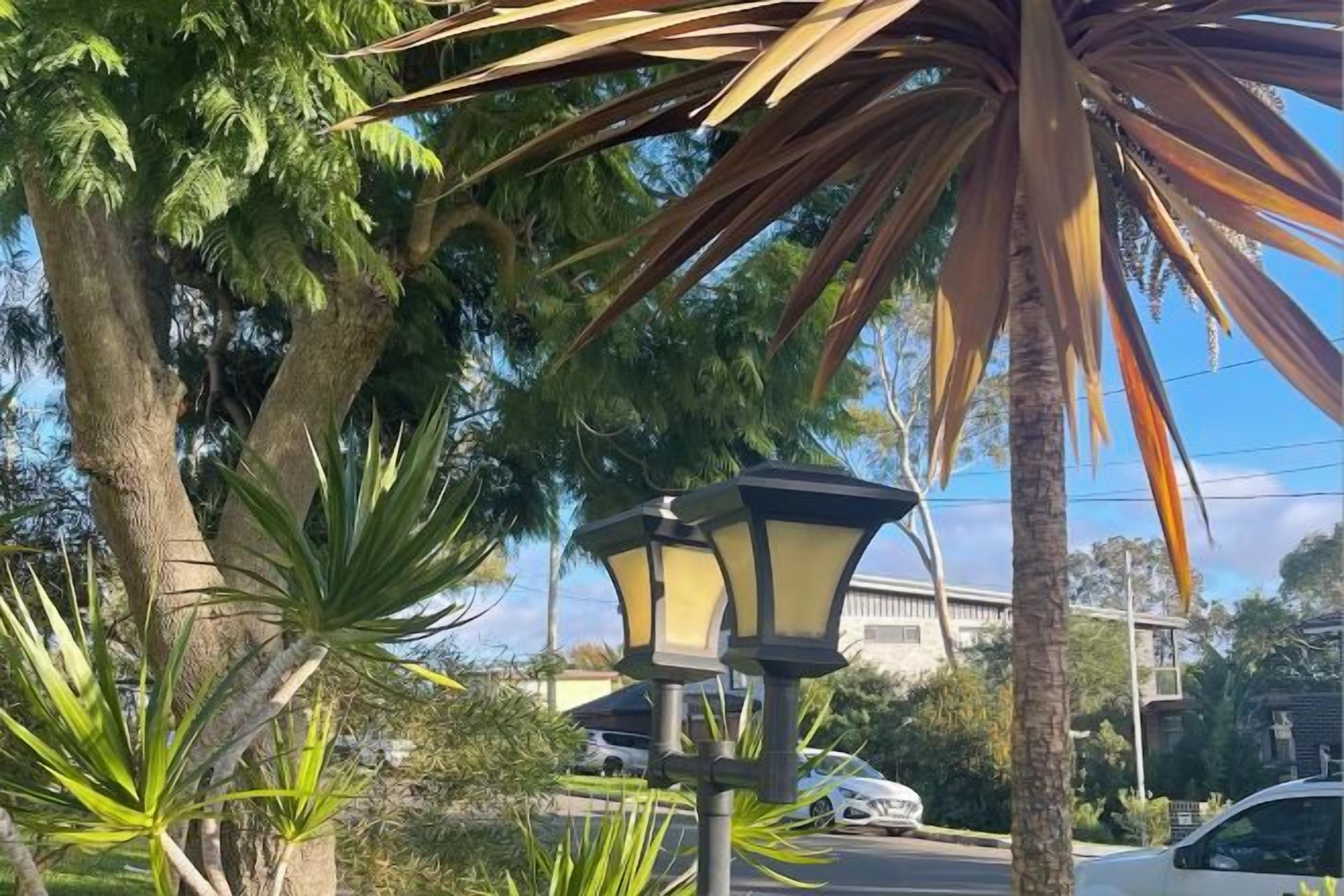 A street lamp, palm trees, and a building in the background.
