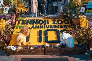 Uitzicht vanuit accommodatie