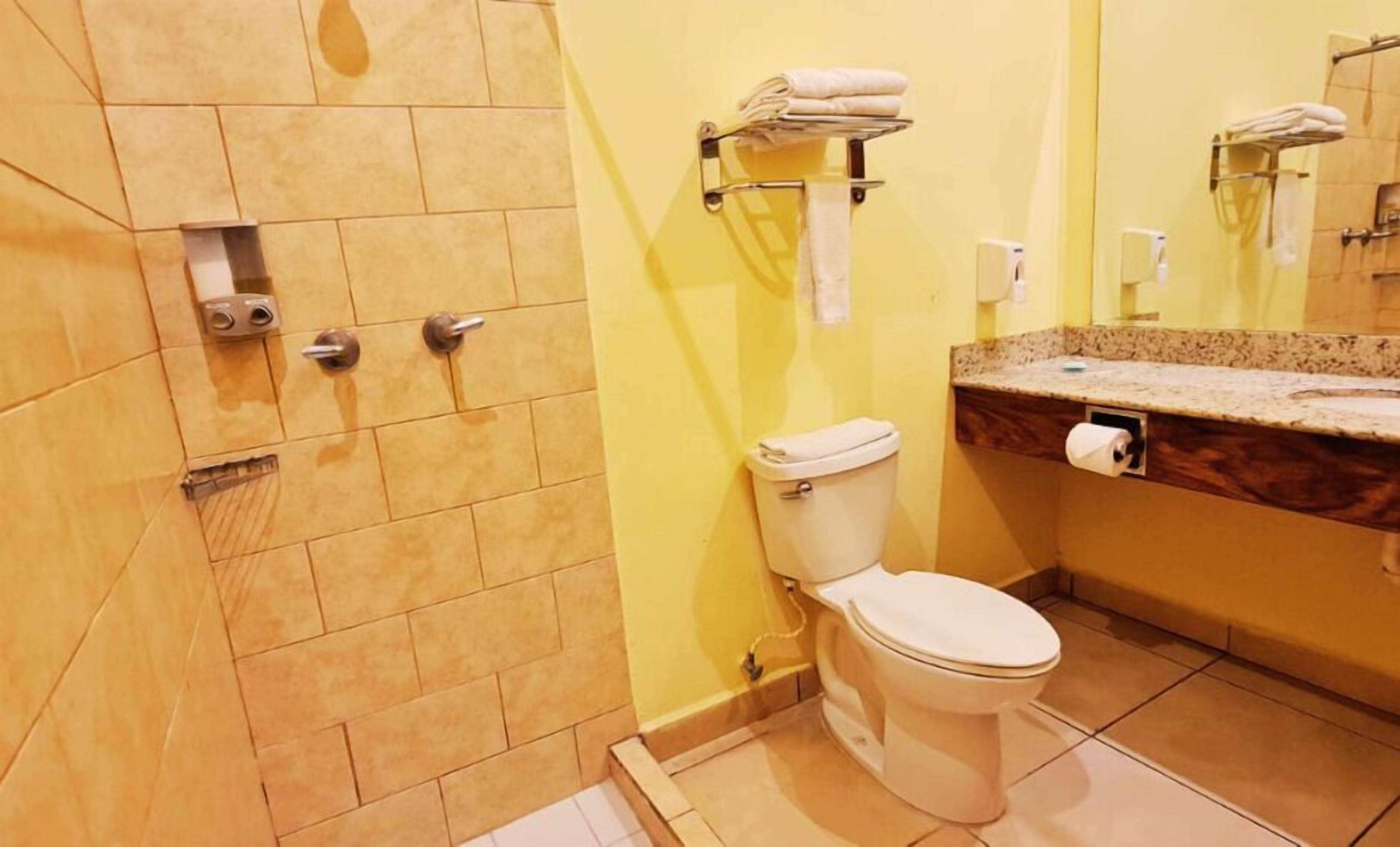 A bathroom with a toilet, a shower, and a sink with a mirror.