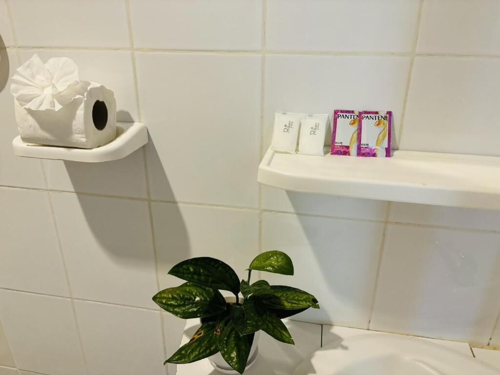 A bathroom with a toilet paper holder, a plant, and a shelf with toiletry items.