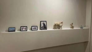 Una pared con una galería de obras de arte enmarcadas y esculturas.