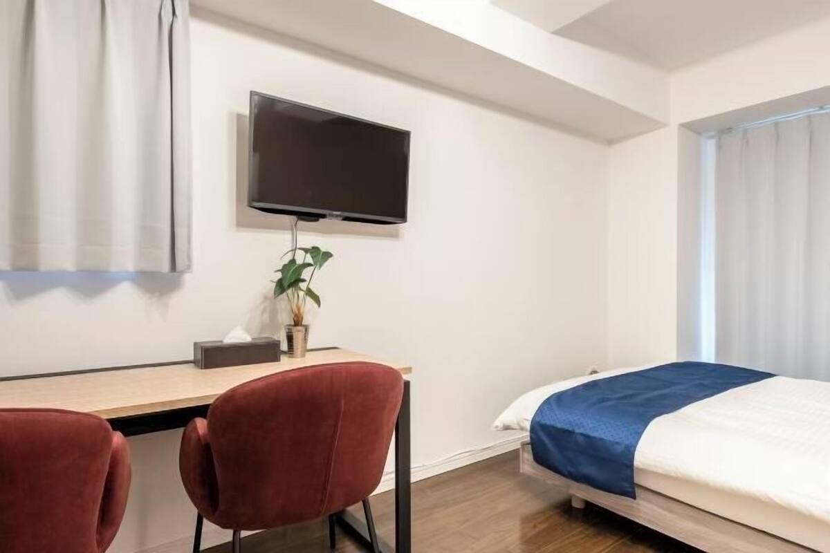 A hotel room with a bed, a desk with two chairs, a TV, and a potted plant.