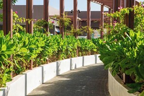 Un sendero bordeado por abundante vegetación y un edificio con grandes ventanales.