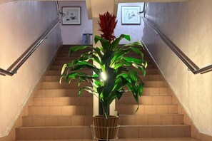 Un escalier avec un pot de fleurs à sa base.
