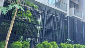 A modern building with a black fence, a tree, and neatly trimmed bushes.