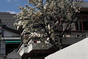 Exterior detail - SeoulPapa GuestHouse - Shower&Sleep (Seoul)