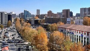 Un paisaje urbano con una fila de coches estacionados, edificios y árboles otoñales a lo largo de la calle.