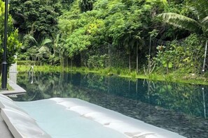 Outdoor pool - The Cove Hillside Ipoh by Iconique (Ipoh)