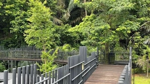 Un puente de madera con barandillas de metal rodeado de abundante vegetación.