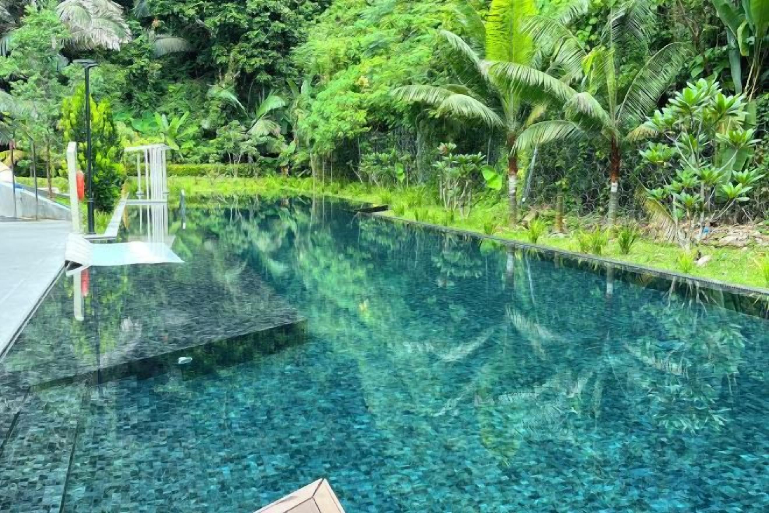 A clear pool with a glass bottom, surrounded by lush greenery and a pathway leading to a structure.