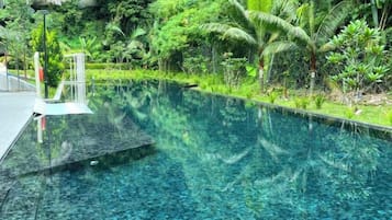 A clear pool with a glass bottom, surrounded by lush greenery and a pathway leading to a structure.
