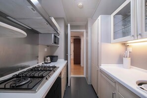 Superior Apartment, 2 Bedrooms, Kitchen, City View | Private kitchen