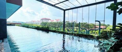 Una piscina interior con techo de vidrio, rodeada de follaje, y vistas de edificios a lo lejos.
