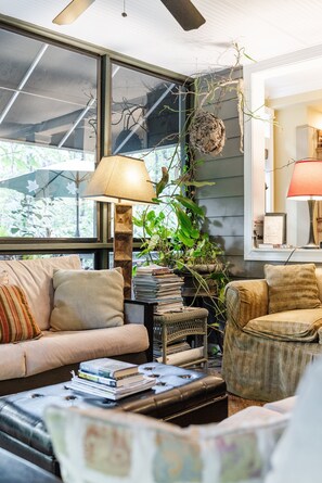 Smart TV, chimenea, libros