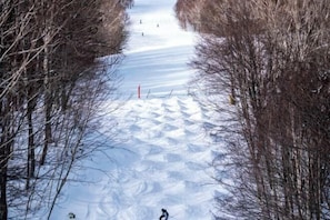 Snow and ski sports